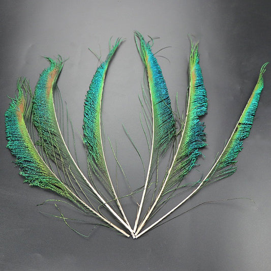 25cm Peacock Sword Feather