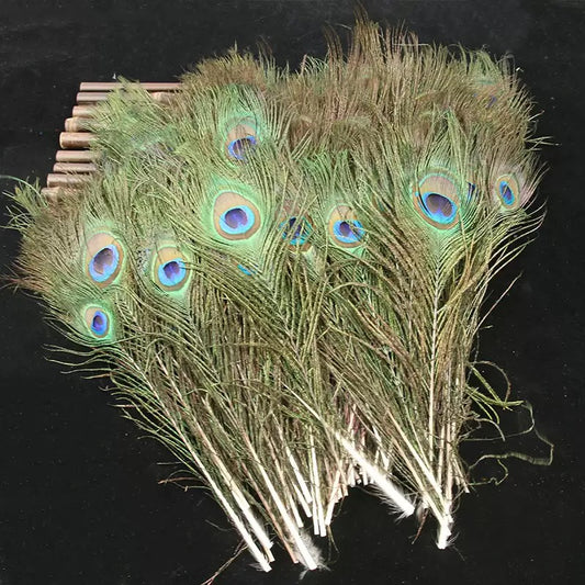 25cm Natural Peacock Eye Feather