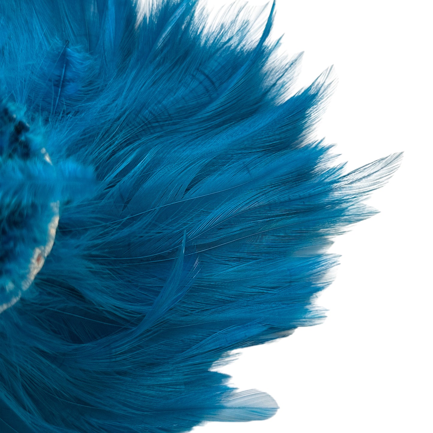 Hackle Feather 100 pcs