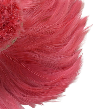 Hackle Feather 100 pcs