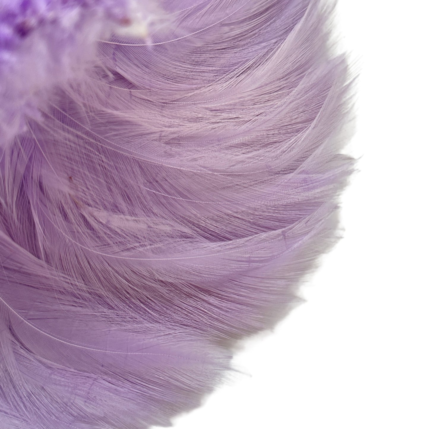 Hackle Feather 100 pcs