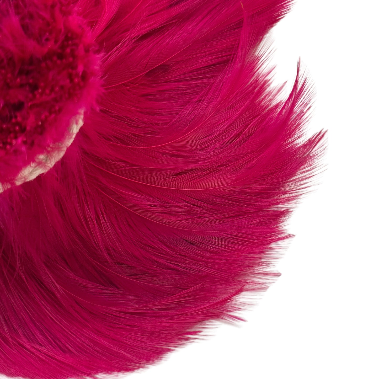 Hackle Feather 100 pcs