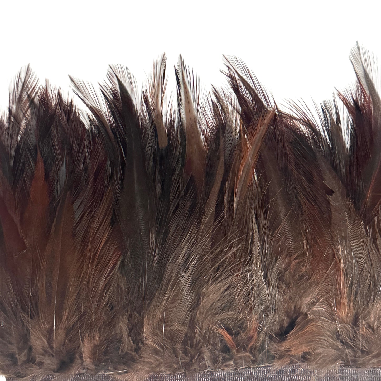 Hackle Feather 100 pcs