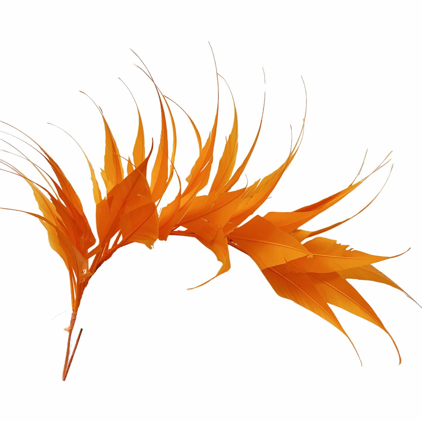 Spiky Arrow Goose Feather Wired Hat Mount DS25050I