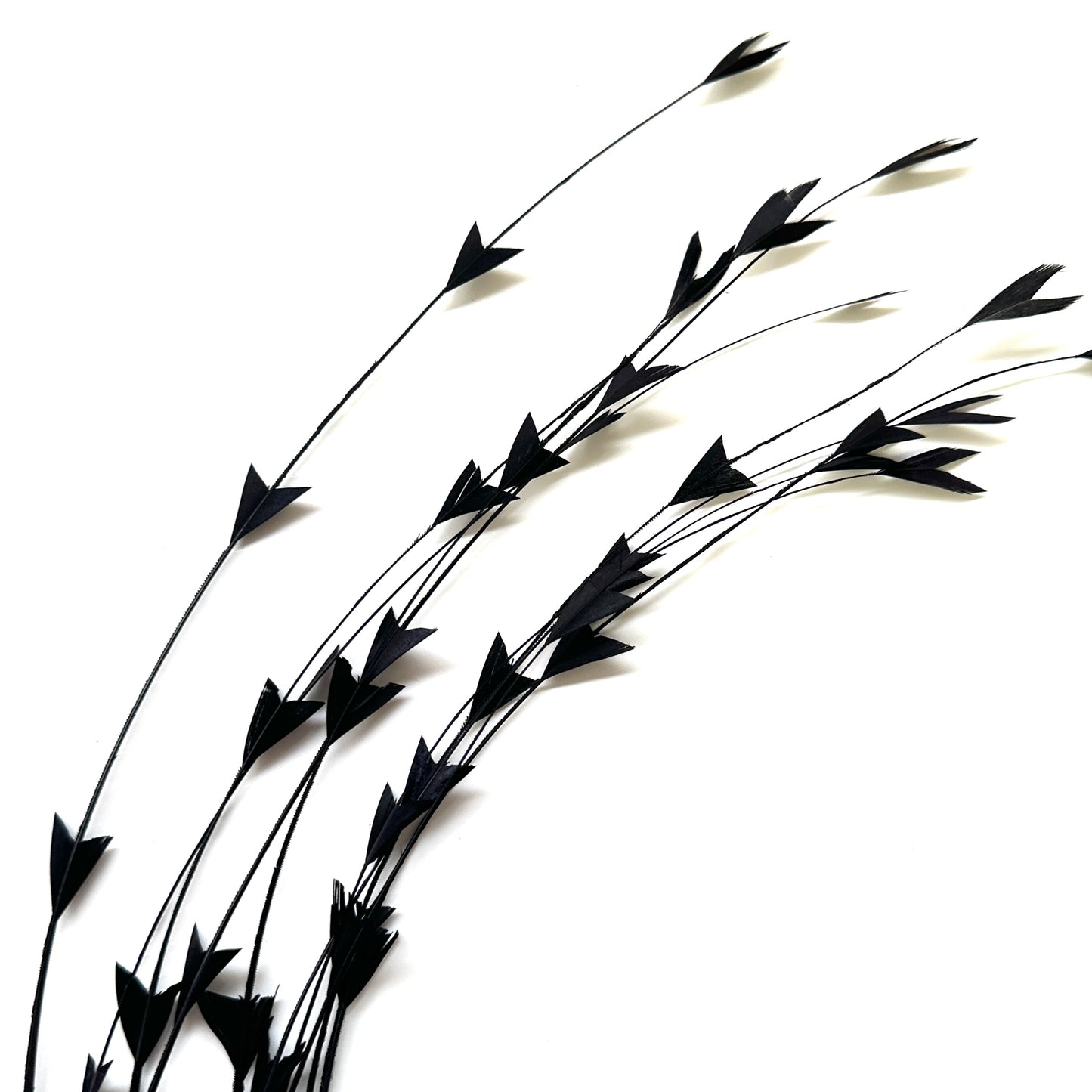 25cm Trimmed Inverted Triangle Tips Coque Feather-Pack of 10 SFROOSTER06