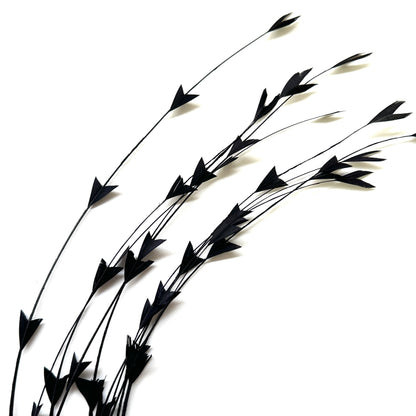 25cm Trimmed Inverted Triangle Tips Coque Feather-Pack of 10 SFROOSTER06