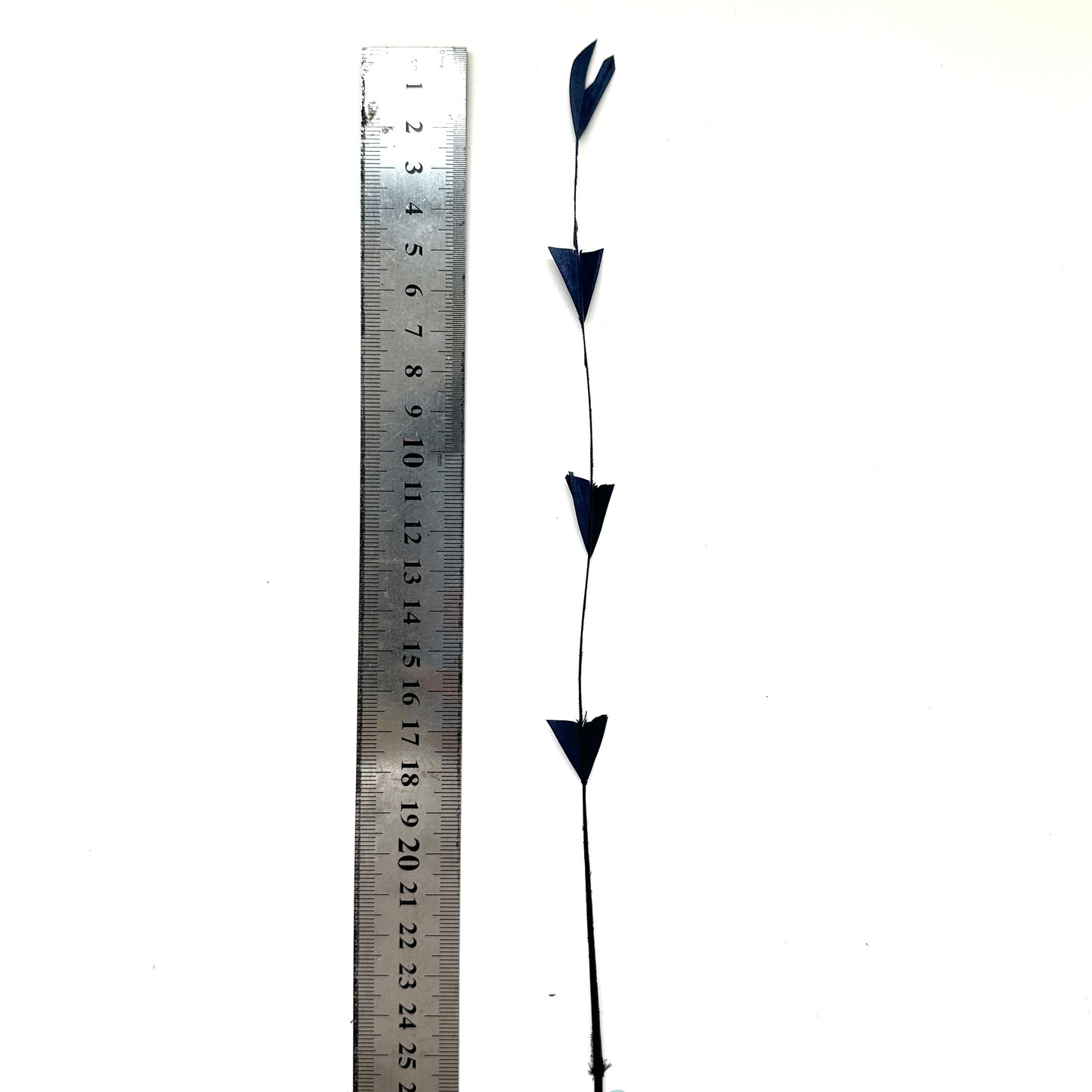 25cm Trimmed Inverted Triangle Tips Coque Feather-Pack of 10 SFROOSTER06