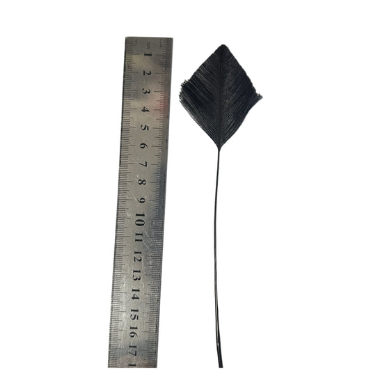 Trimmed Ostrich Feather-Pack of 2