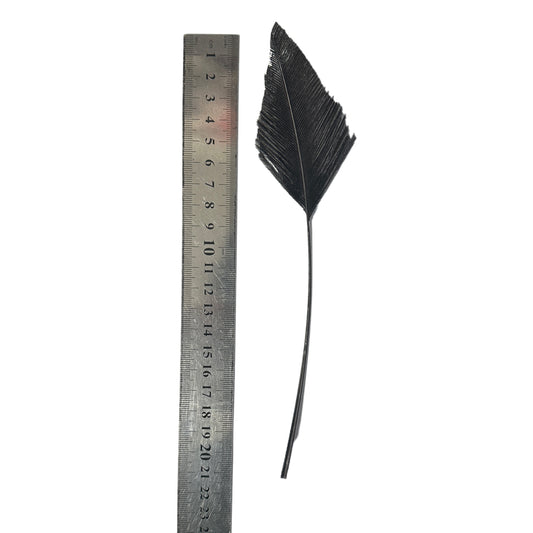 Trimmed Ostrich Feather-Pack of 2