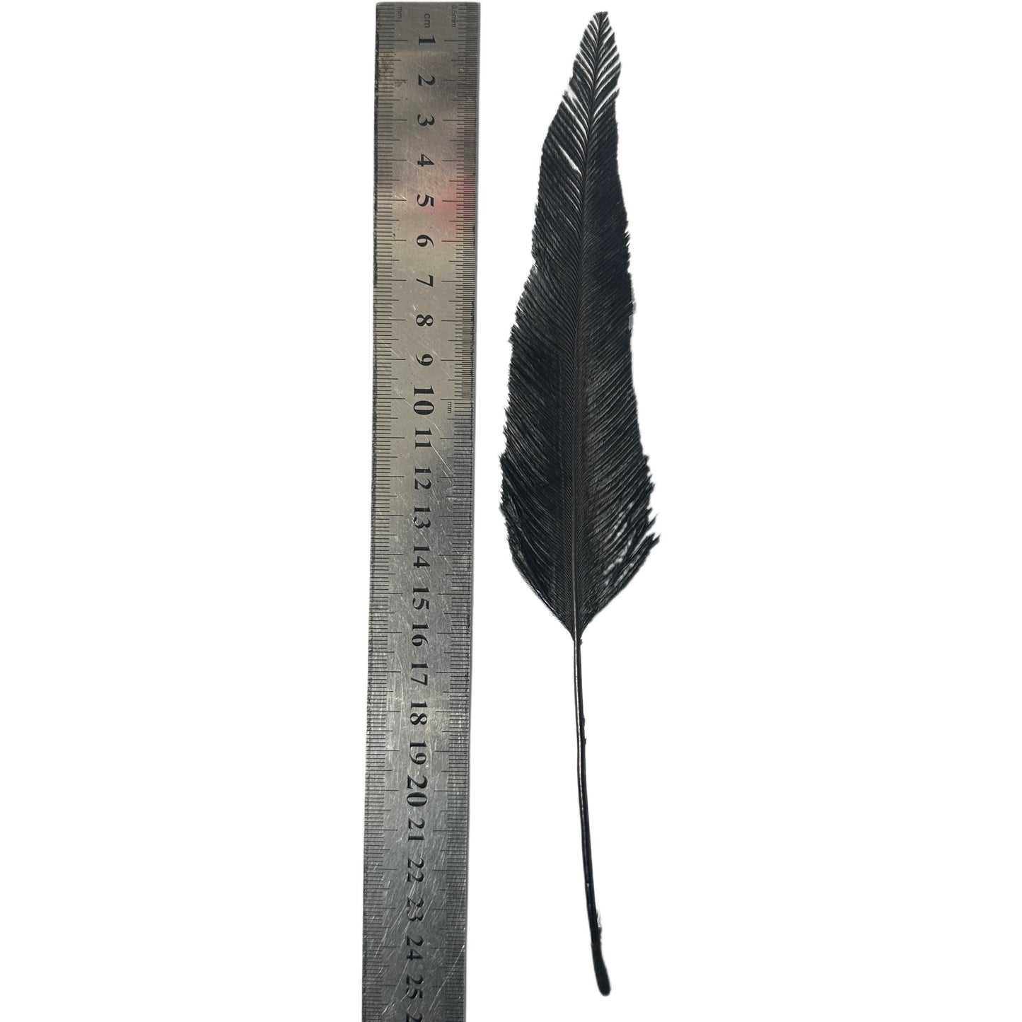 Trimmed Ostrich Feather-Pack of 2
