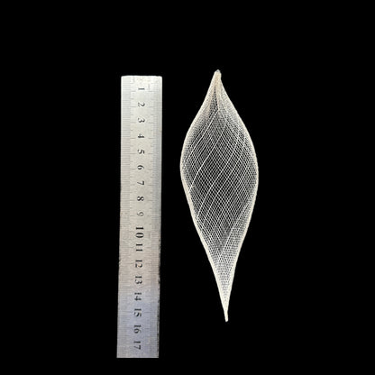 5cm Wide Millinery Ivory Sinamay Leaves-Pack of 5