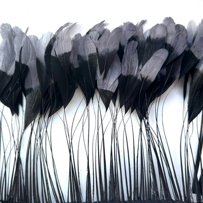 Two colour Coque Feather Trim