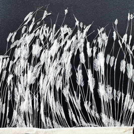 Burnt Ostrich Feather Trim