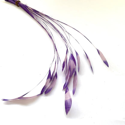Special Two Tone Dyed Teardrop Coque Feather