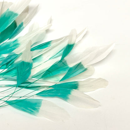 Special Two Tone Dyed Teardrop Coque Feather