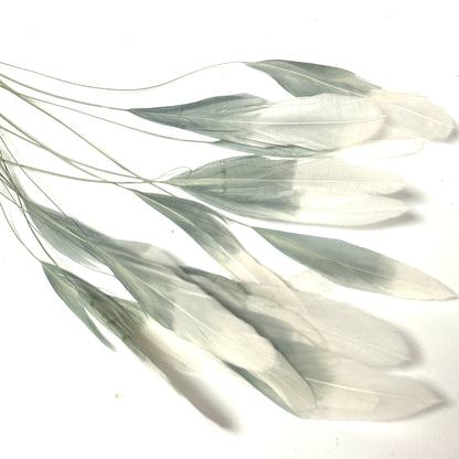 Special Two Tone Dyed Teardrop Coque Feather