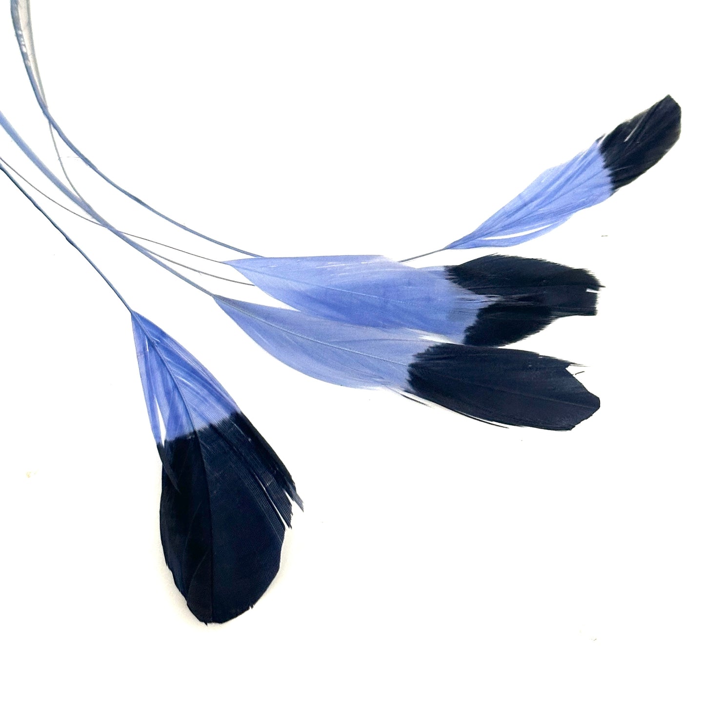 Special Two Tone Dyed Teardrop Coque Feather