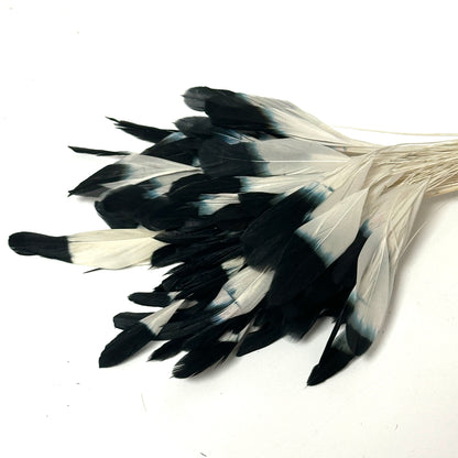 Special Two Tone Dyed Teardrop Coque Feather