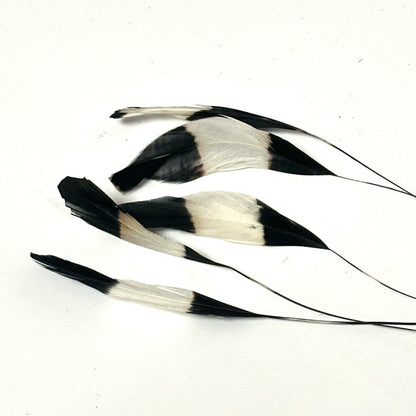 Special Two Tone Dyed Teardrop Coque Feather