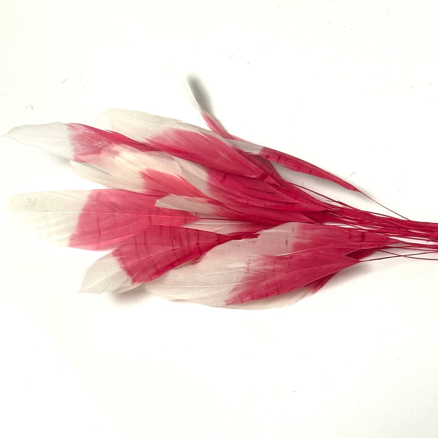 Special Two Tone Dyed Teardrop Coque Feather