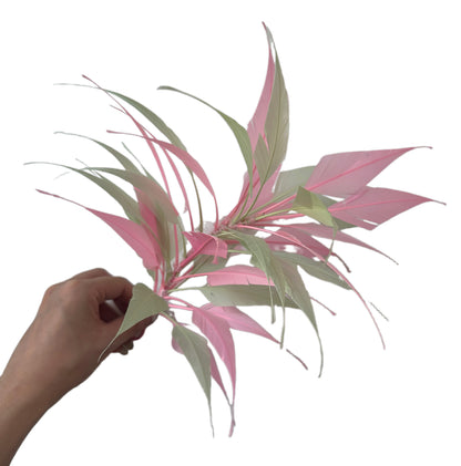 3D Wrapping Spiky Arrow Goose Feather Wired Hat Mount - DS2607