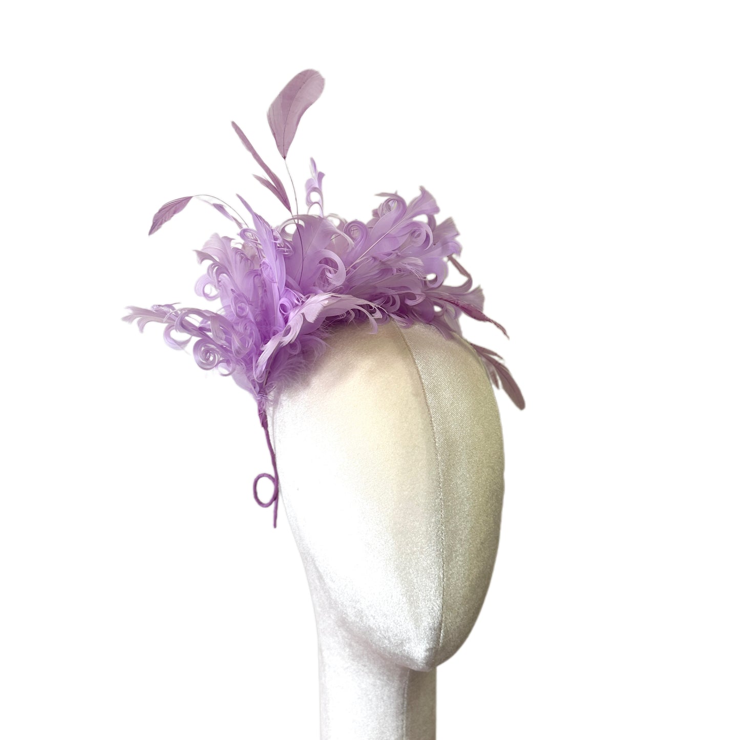 Curled Goose & Coque Feather Mount DS260724