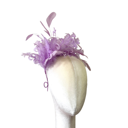 Curled Goose & Coque Feather Mount DS260724