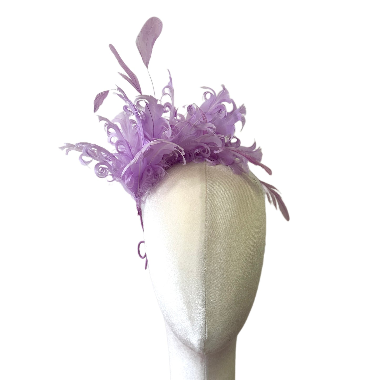 Curled Goose & Coque Feather Mount DS260724