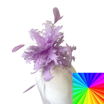 Curled Goose & Coque Feather Mount DS260724