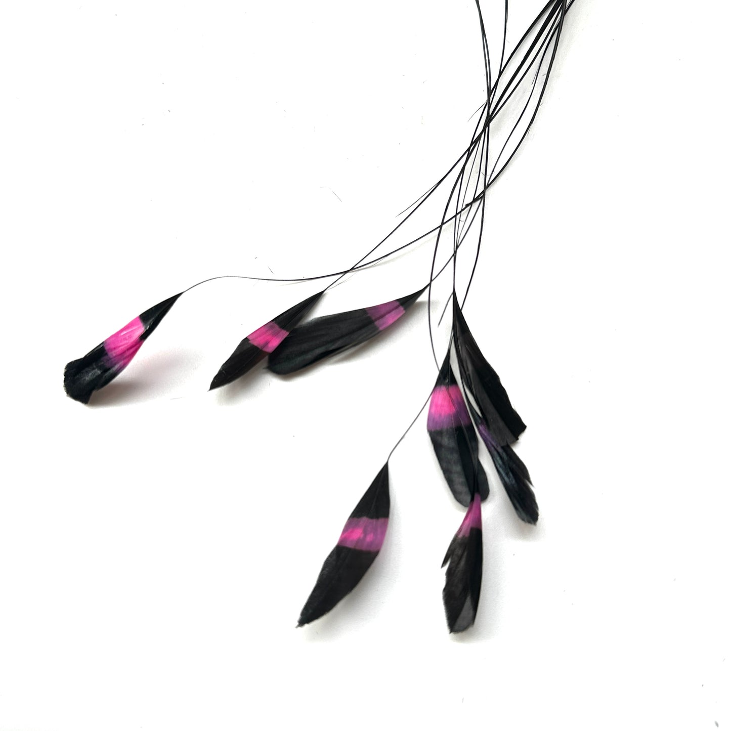 Special Two Tone Dyed Teardrop Coque Feather