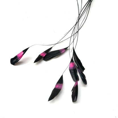 Special Two Tone Dyed Teardrop Coque Feather