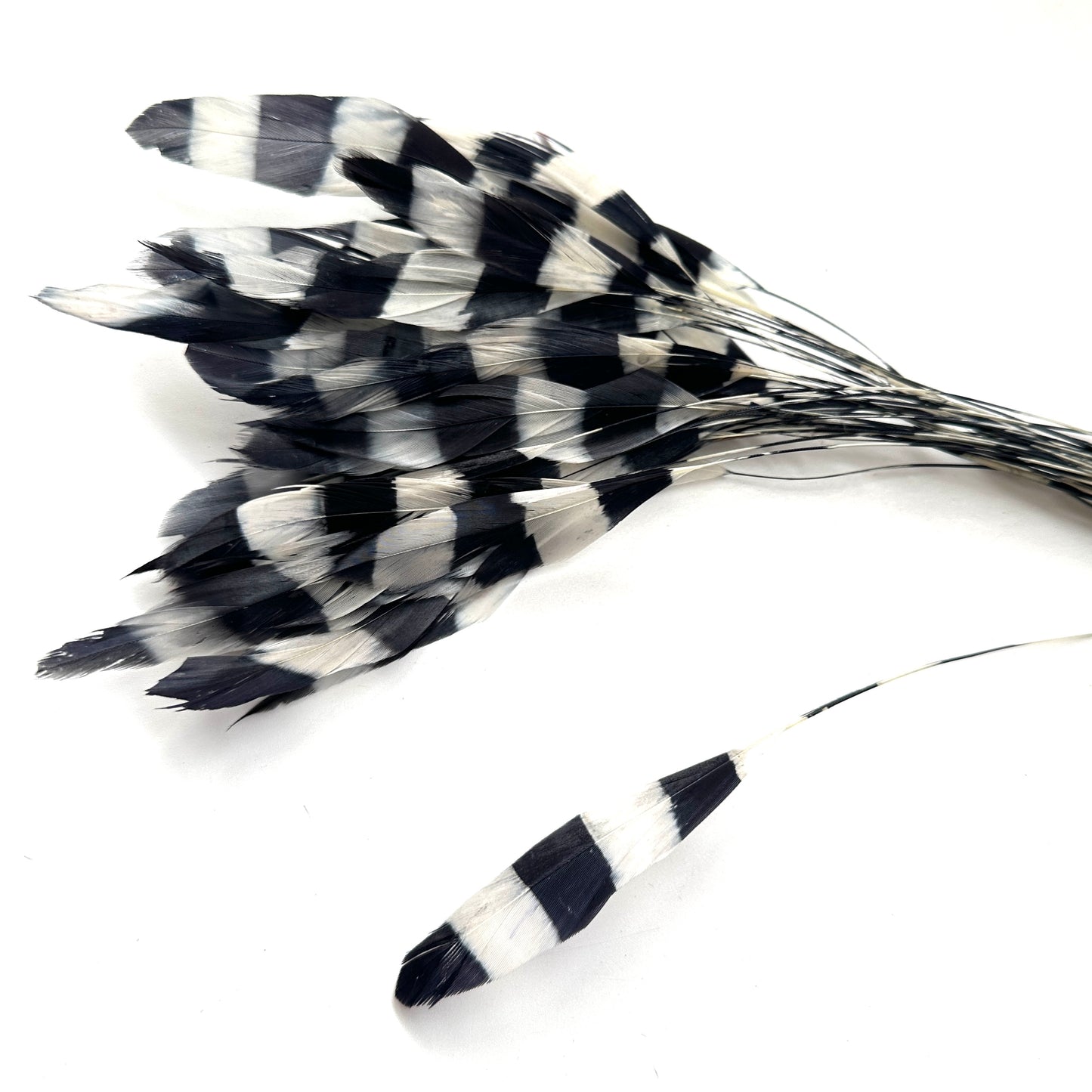 Special Two Tone Dyed Teardrop Coque Feather