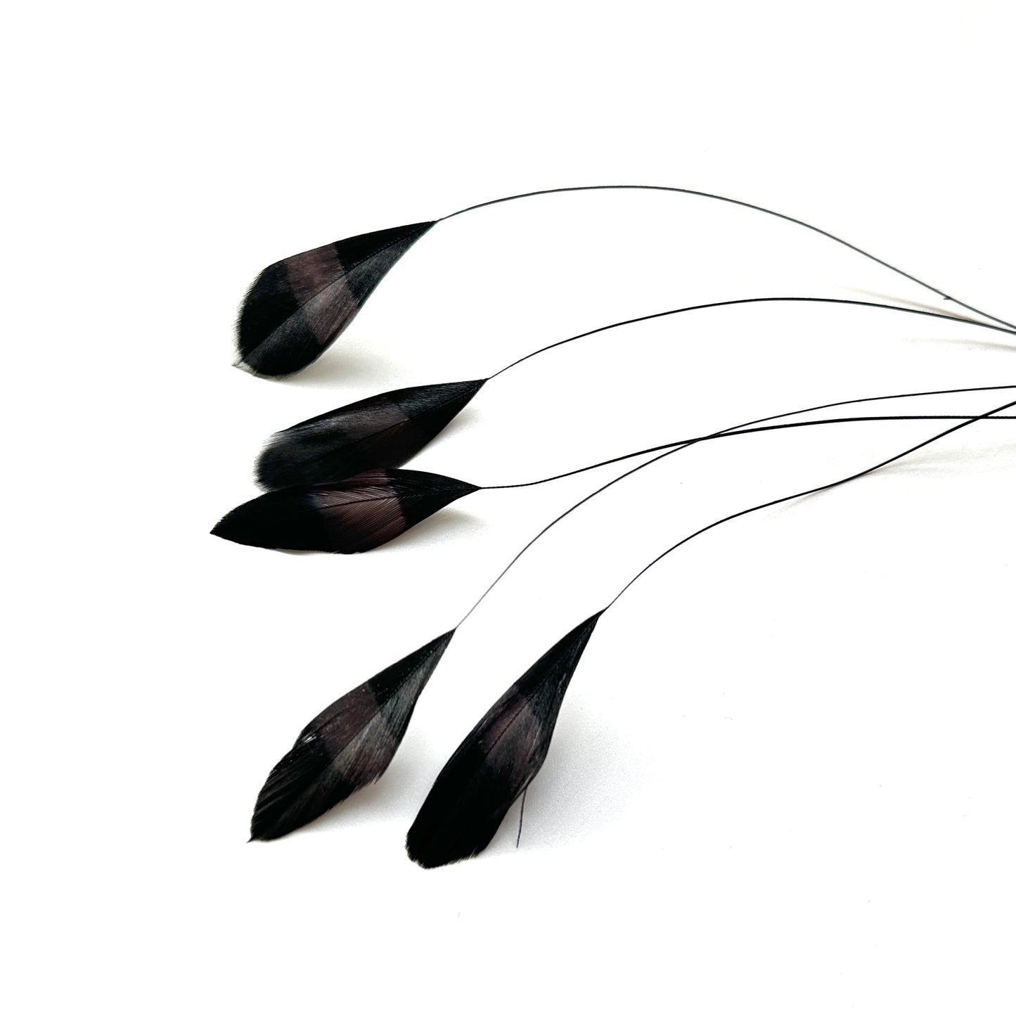 Special Two Tone Dyed Teardrop Coque Feather