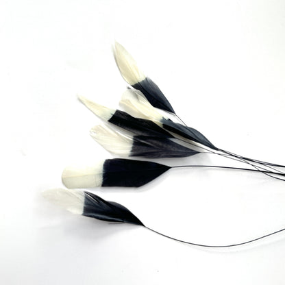 Special Two Tone Dyed Teardrop Coque Feather