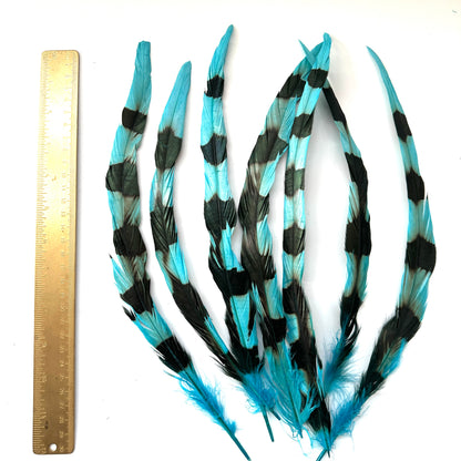 Special Two Tone Dyed Coque Feather