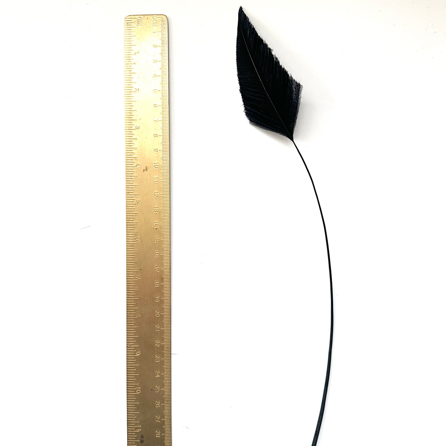 Trimmed Ostrich Feather - Pack of 2