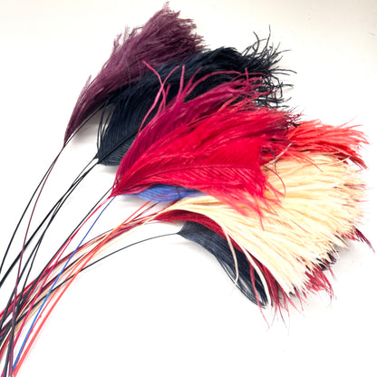30cm Trimmed Ostrich Feather - Pack of 5