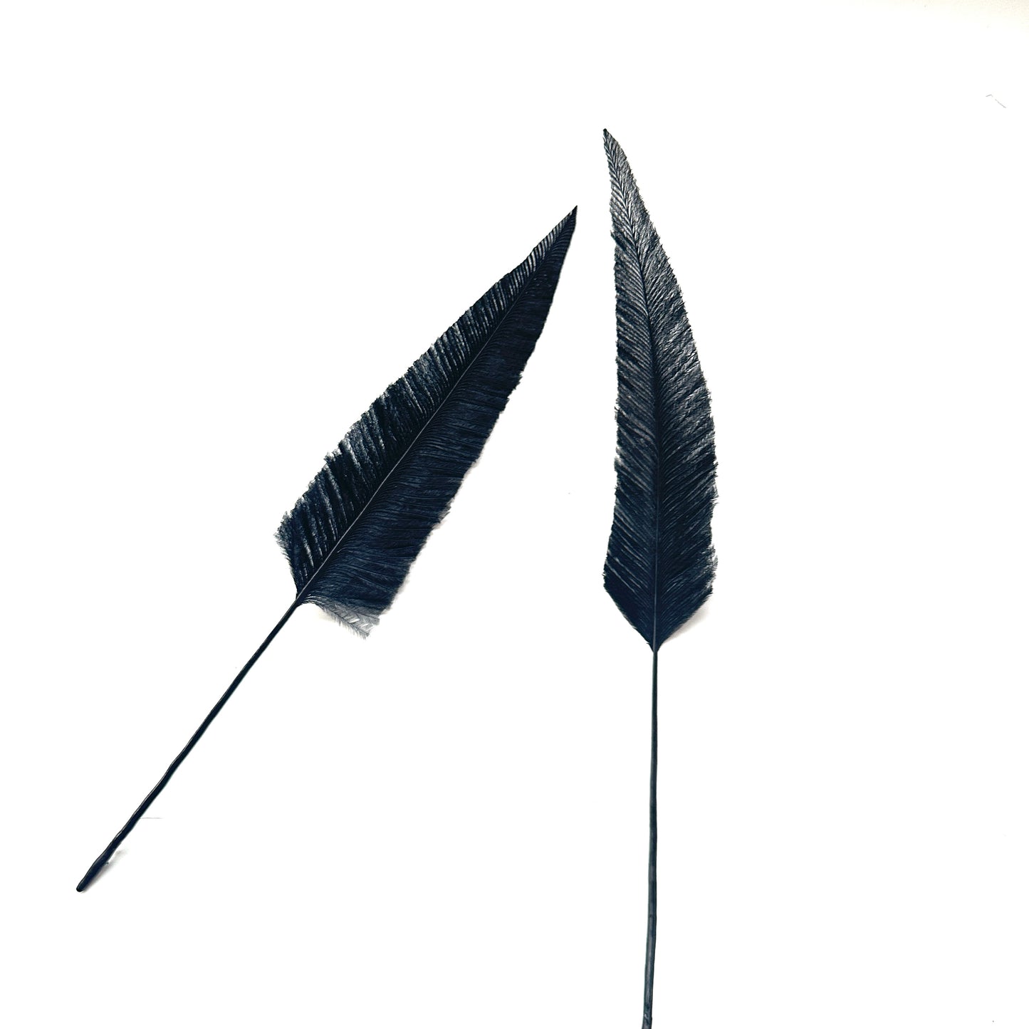 Trimmed Ostrich Feather - Pack of 2