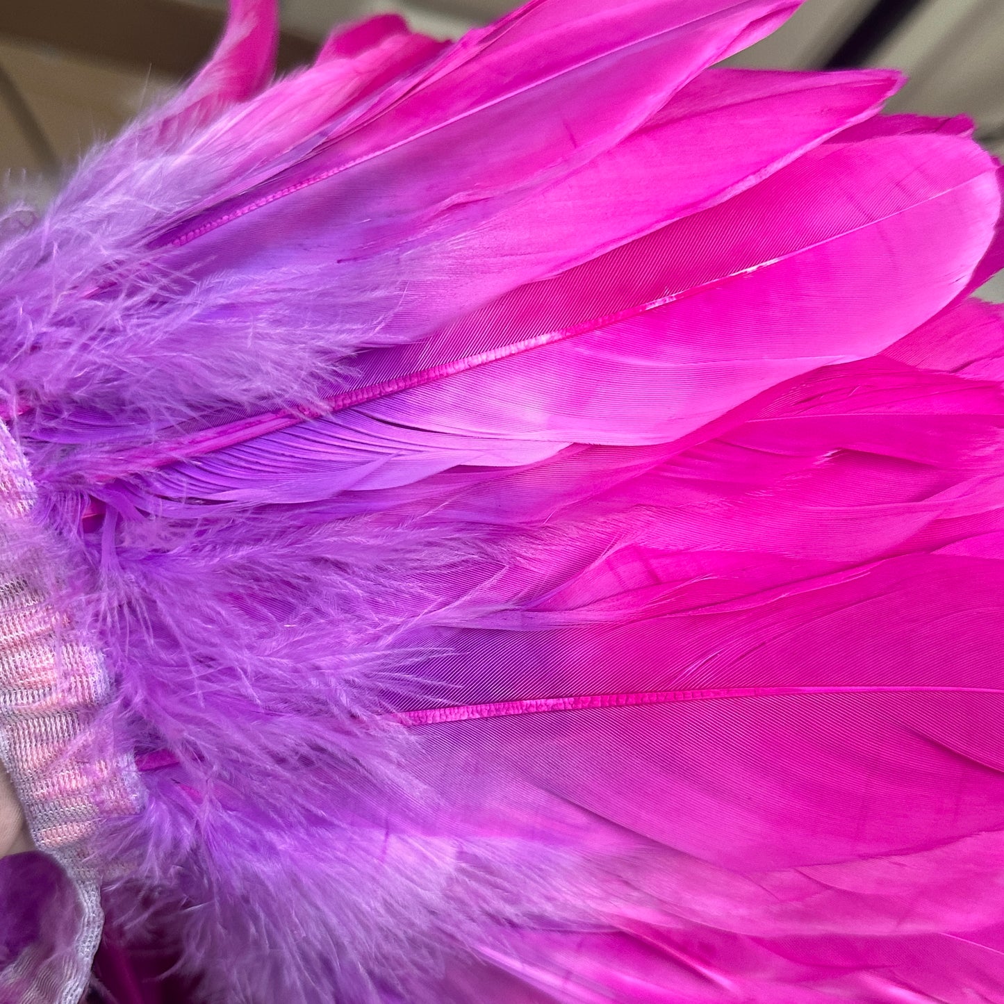 Two Tone Stripped Goose Feather Trim