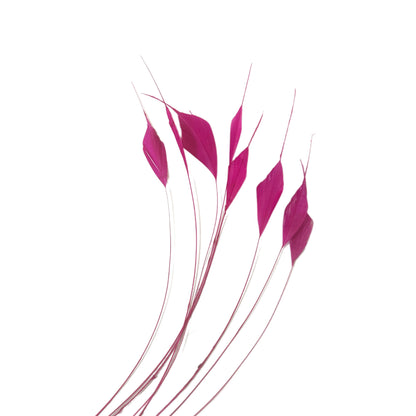Trimmed Tips Coque Feather-Pack of 10 SFROOSTER09