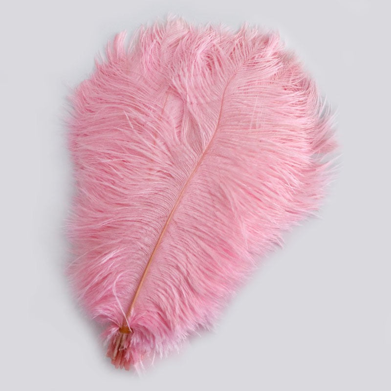Ostrich Feather Plume 30-35cm SF013A