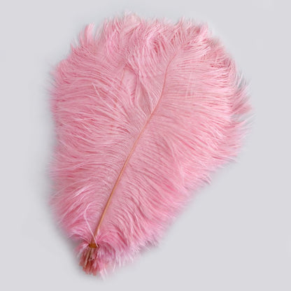 Ostrich Feather Plume 30-35cm SF013A