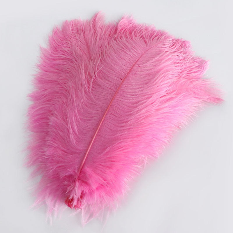 Ostrich Feather Plume 30-35cm SF013A