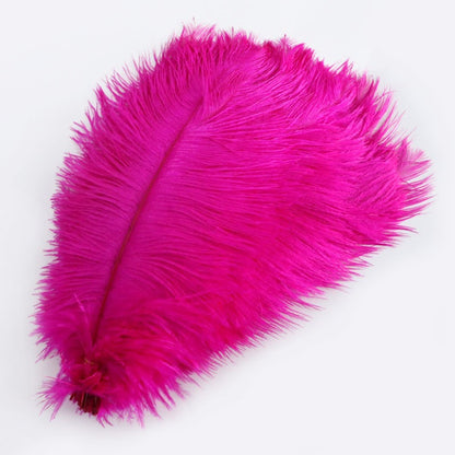 Ostrich Feather Plume 30-35cm SF013A