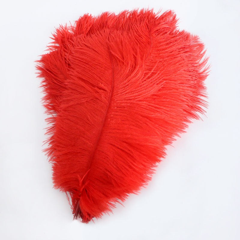 Ostrich Feather Plume 30-35cm SF013A