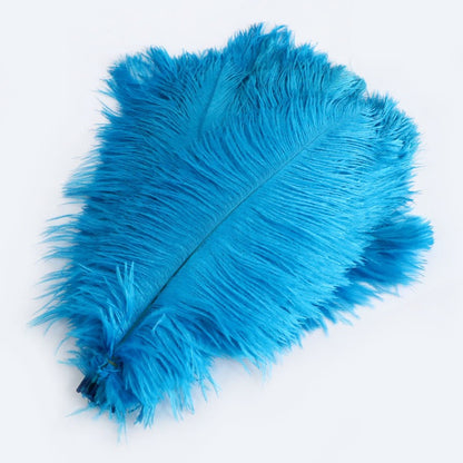 Ostrich Feather Plume 30-35cm SF013A