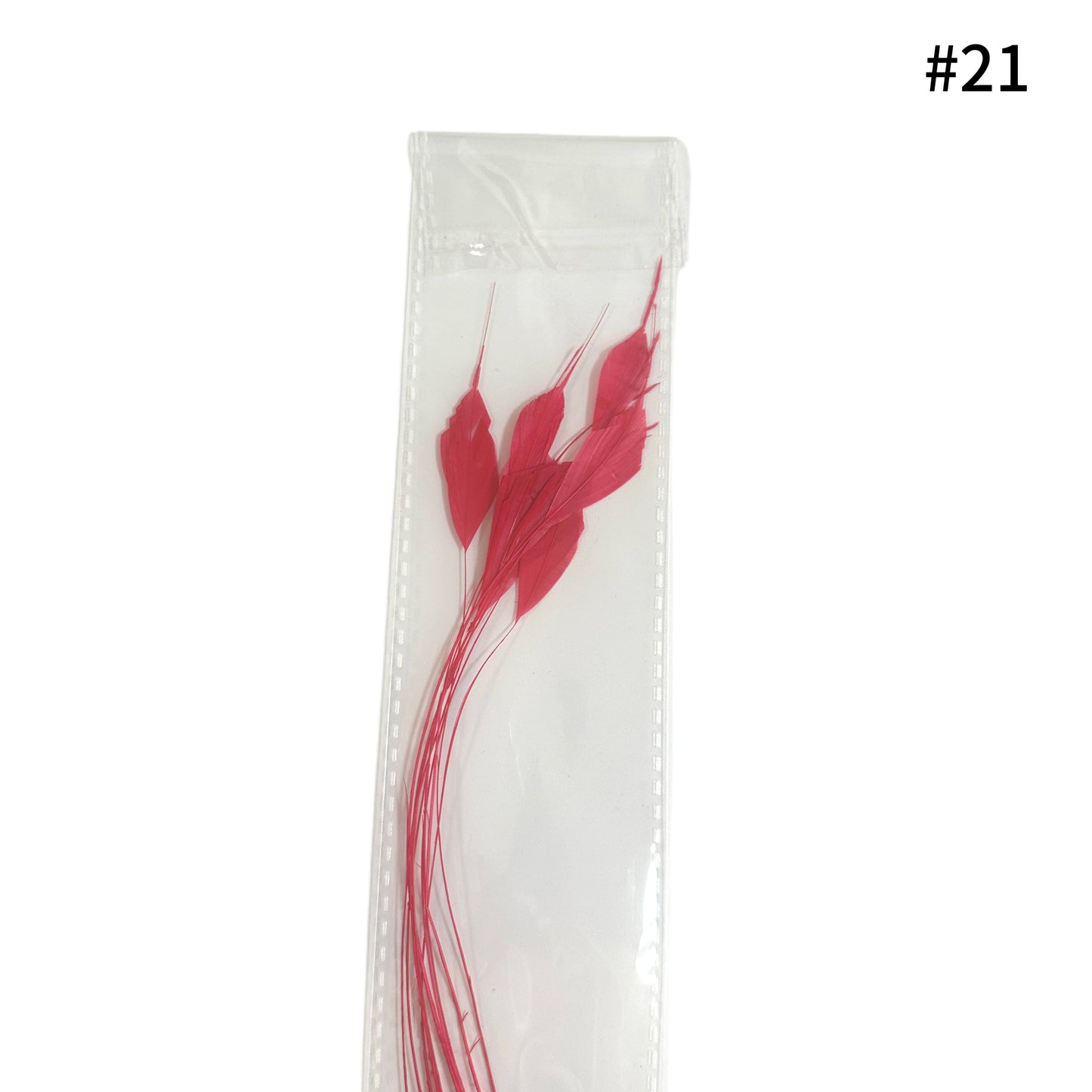 Trimmed Tips Coque Feather-Pack of 10 SFROOSTER09