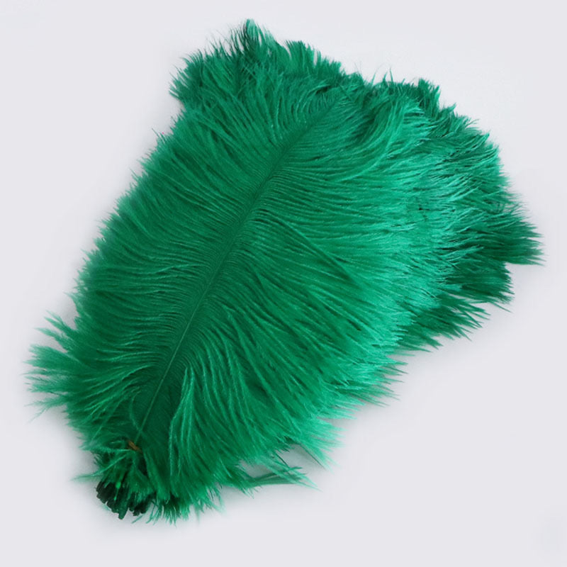 Ostrich Feather Plume 30-35cm SF013A