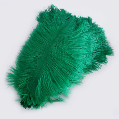 Ostrich Feather Plume 30-35cm SF013A