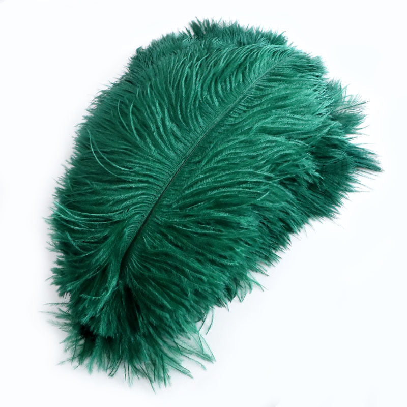 Ostrich Feather Plume 30-35cm SF013A